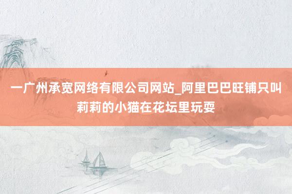 一广州承宽网络有限公司网站_阿里巴巴旺铺只叫莉莉的小猫在花坛里玩耍